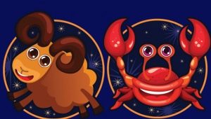 Man Cancer born in the year of the Goat: a psychological portrait and ideal partners