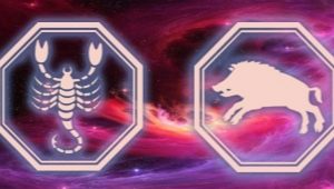 Scorpio male born in the year of the Boar: characteristics and compatibility