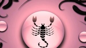 Scorpio male born in the year of the Monkey: characteristics and compatibility
