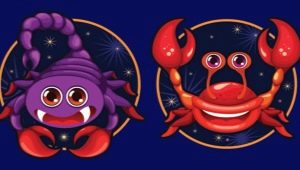Scorpio and Cancer: characteristics of the union of Water signs and possible problems in relationships