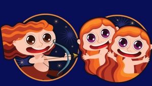 Sagittarius and Gemini: a characteristic of the union and the secrets of harmonious relations