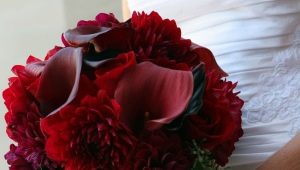 Burgundy bouquet for the bride: especially the choice of colors and ideas for design composition
