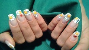 Manicure with daisies: decor features and trends of the season