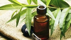 Properties and recommendations for the use of tea tree oil from nail fungus