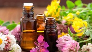 Varieties and methods of using essential oils