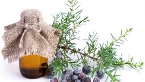 The properties of juniper oil and its application in cosmetology