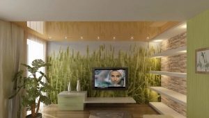 Feng Shui for an apartment or house: the rules of planning and interior decoration