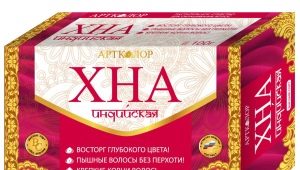 Brown henna for hair: benefits, harms and tips for use