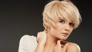 Short haired Italian