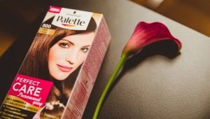 All About Palette Hair Colors