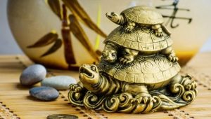 The meaning of the turtle: where to put what symbolizes in jewelry and talismans?