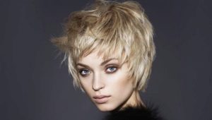 Haircuts: types, fashion trends, nuances of selection