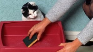 What is the best way to wash the cat tray so that there is no smell?