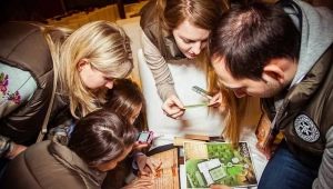 How to organize a gift search quest?