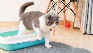 How to choose a cat toilet mat?