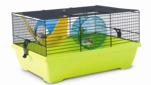 Cages for Dzhungar hamsters: what are and how to clean them?