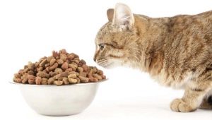 Food for sterilized cats and neutered cats