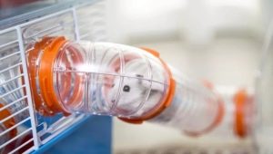 Labyrinths and tunnels for hamsters: features, types, manufacturing