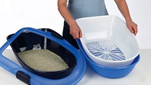 Maine Coon tray: how to choose and train a kitten to it?