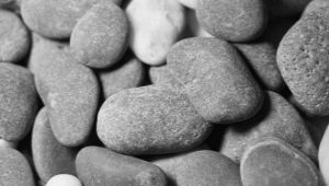 Gray psychology: what does it mean and what does it signal?