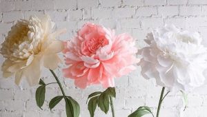 Growth flowers: types, materials and manufacture