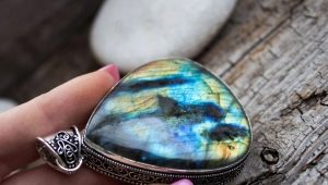 All About Stone Labrador