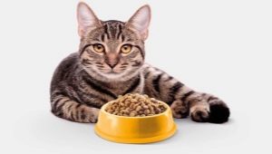 Grainless Cat Food