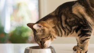How is sterilized cat food different from normal?
