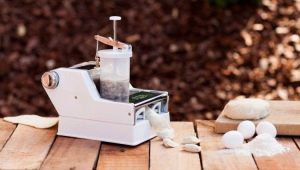 Electric dumplings: description of the species and selection criteria