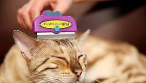 Ferminators for cats: description, types, selection and application
