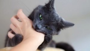 How to wean a cat to bite?