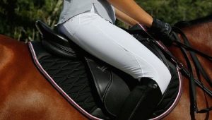 How to choose breeches for riding?