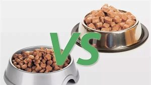 Wet and dry food: what is the best way to feed a cat?