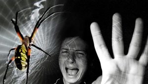 Fear of insects: causes, symptoms and treatment