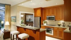 Interior design kitchen with a breakfast bar