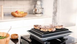 Electric grills: types, model overview and selection tips