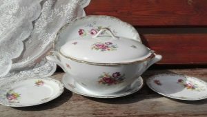 Porcelain Kahla: types, tips for choosing and caring for dishes