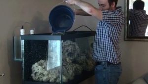 How to properly and how much water is needed for the aquarium?