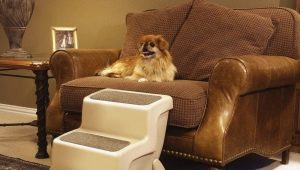 Stairs for dogs: what is it and how to choose?