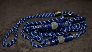 Dog rings: what is it and how to choose them?