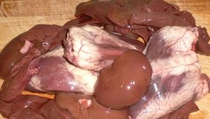Offal for dogs: what can be given and how to choose them?