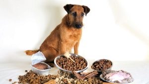 Premium Dry Dog Food