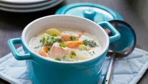 Tureens: an overview of species, popular models and selection criteria