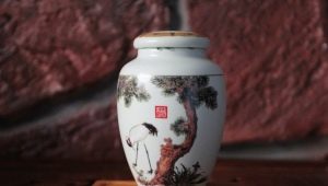 All About Dummies: Varieties and Tips for Choosing