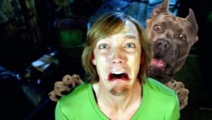 Zoophobia: causes, symptoms and treatment