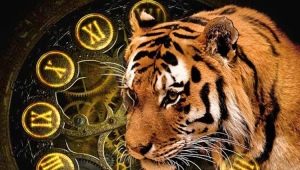 1998 - the year of which animal and what is characteristic of it?