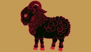 2003 - the year of which animal and what does it mean?