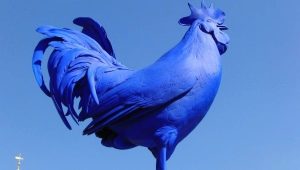 2005 - the year of which animal and what is it characterized by?