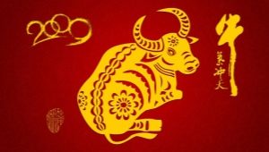 2009 is the year of which animal and what does it mean?