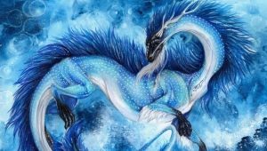 2012 is the year of which animal and how does it affect character?